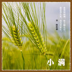 小满海报