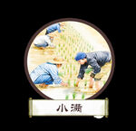 农民插田