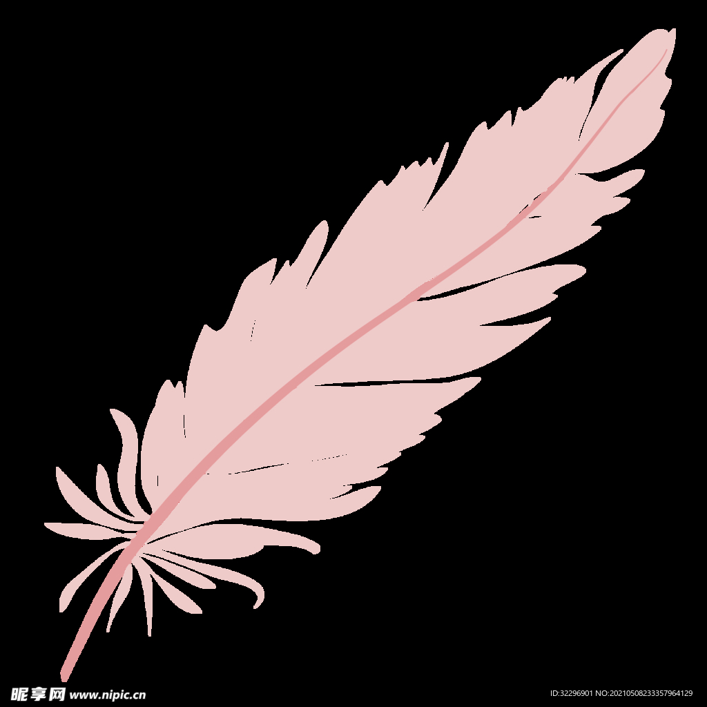 羽毛 素材