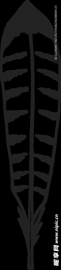 羽毛 素材