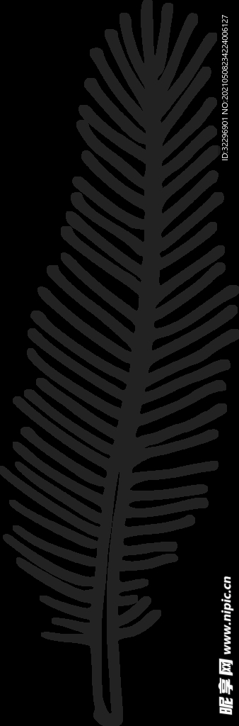 羽毛 素材