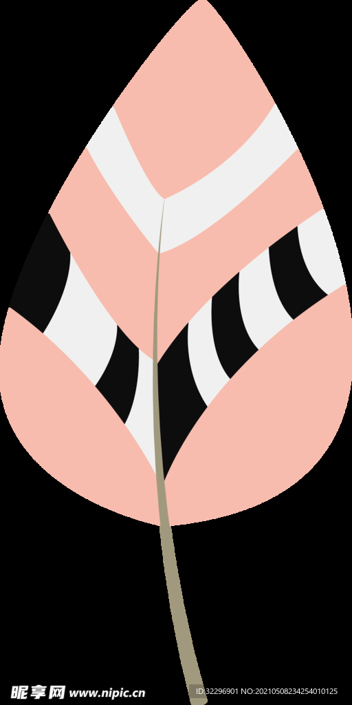 羽毛 素材