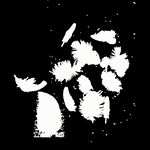 羽毛 素材