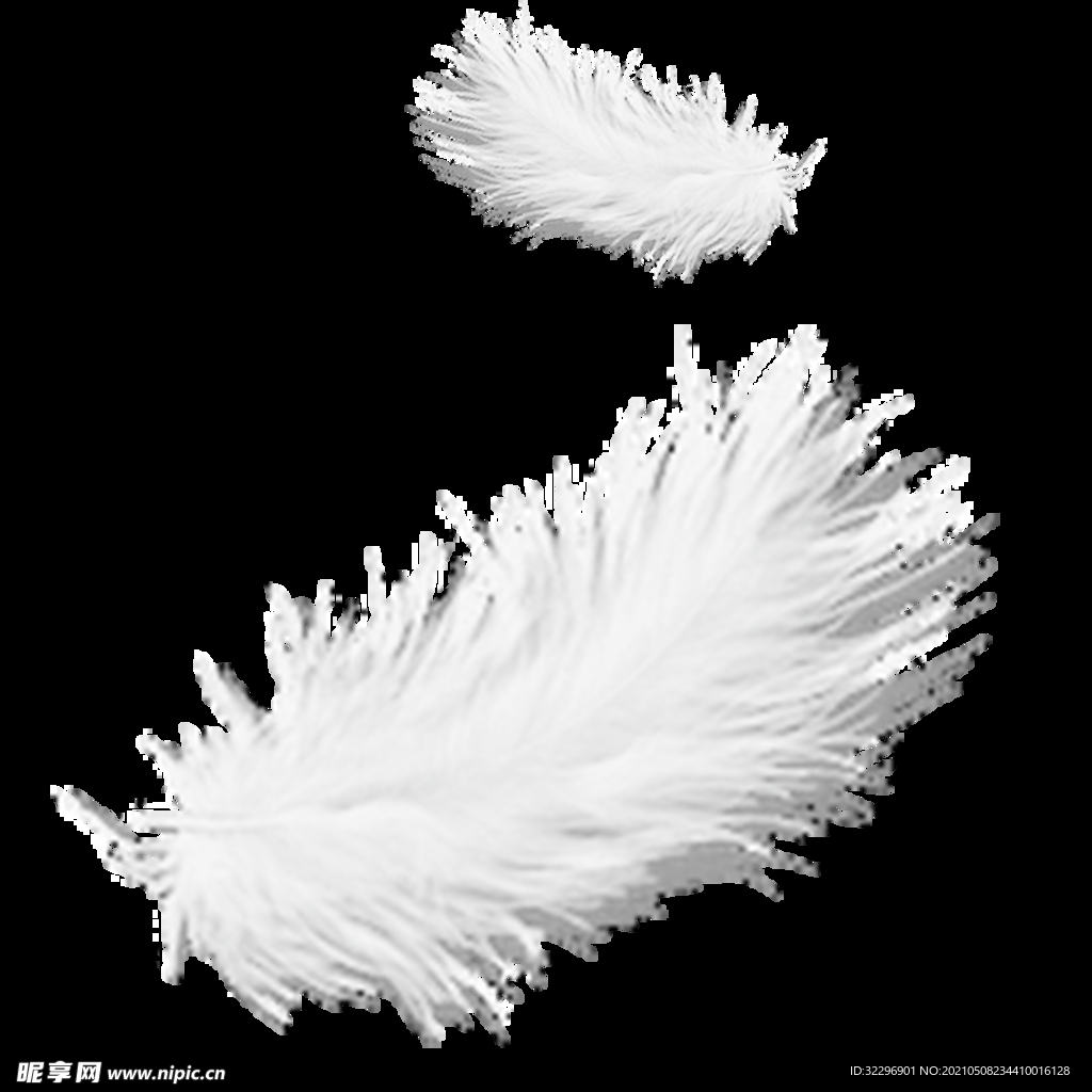 羽毛 素材