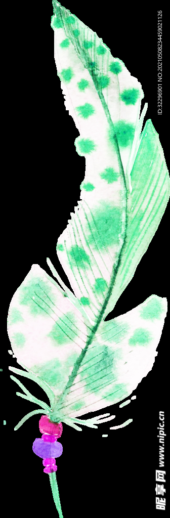羽毛 素材