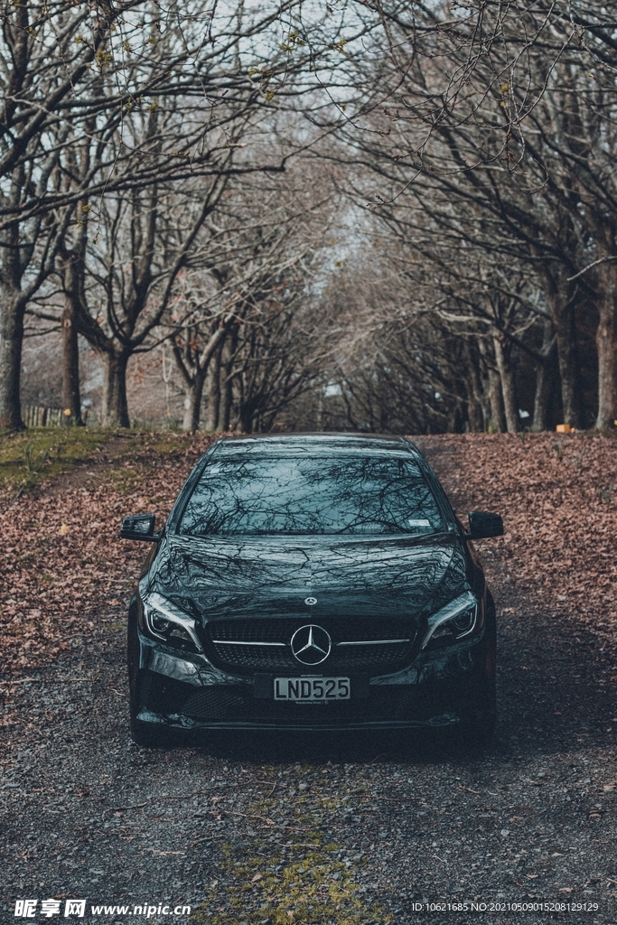 汽车             