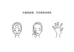 化妆棉使用方法矢量图