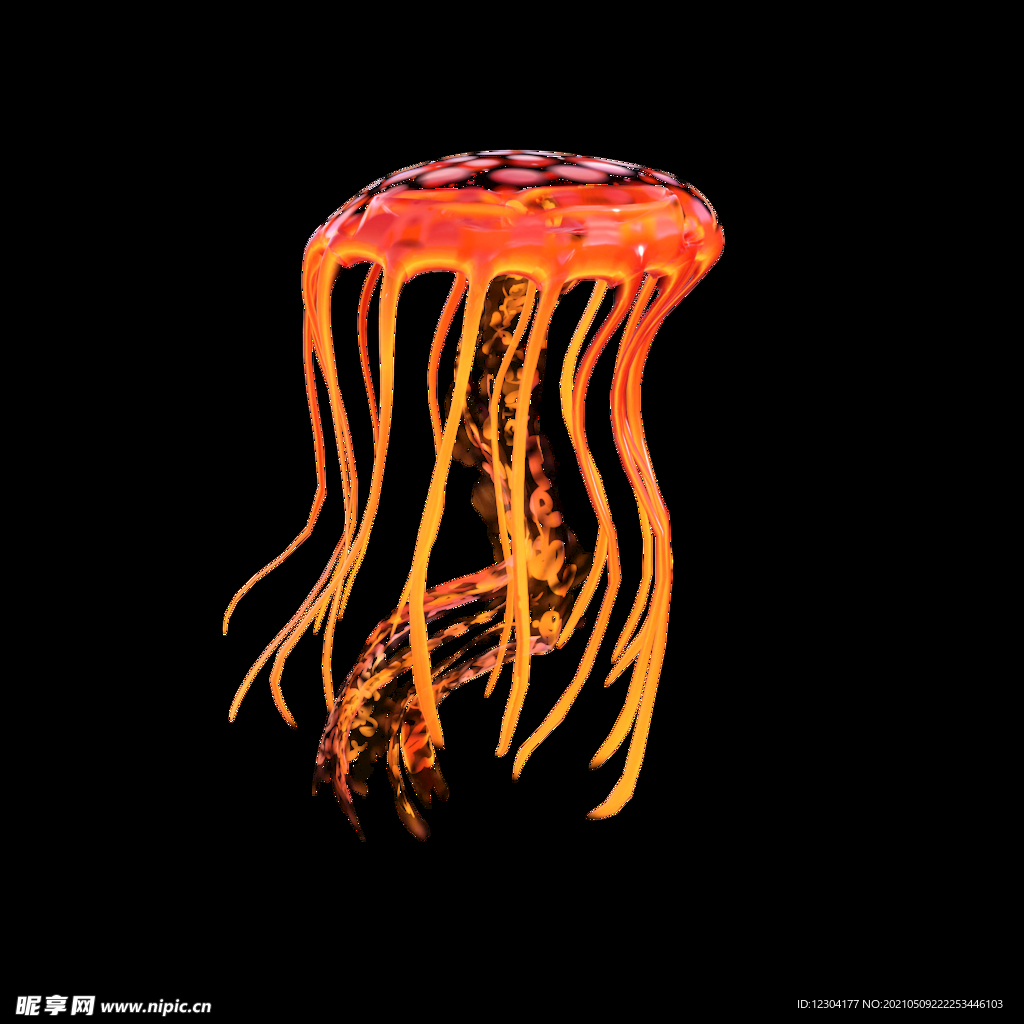 水母