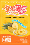 菠萝海报