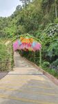 花走道