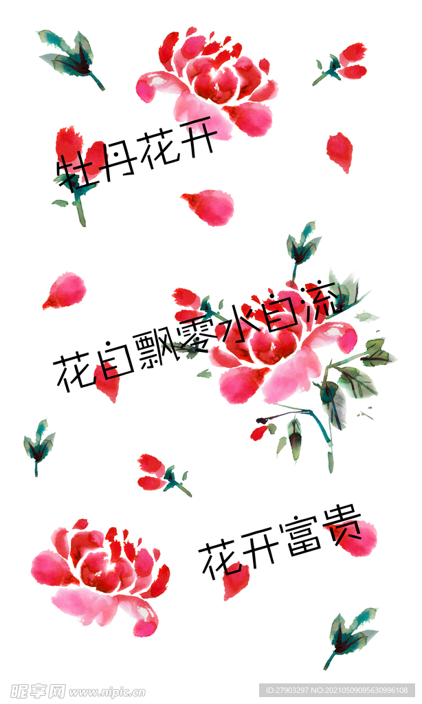 水彩牡丹花