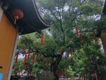 寺庙