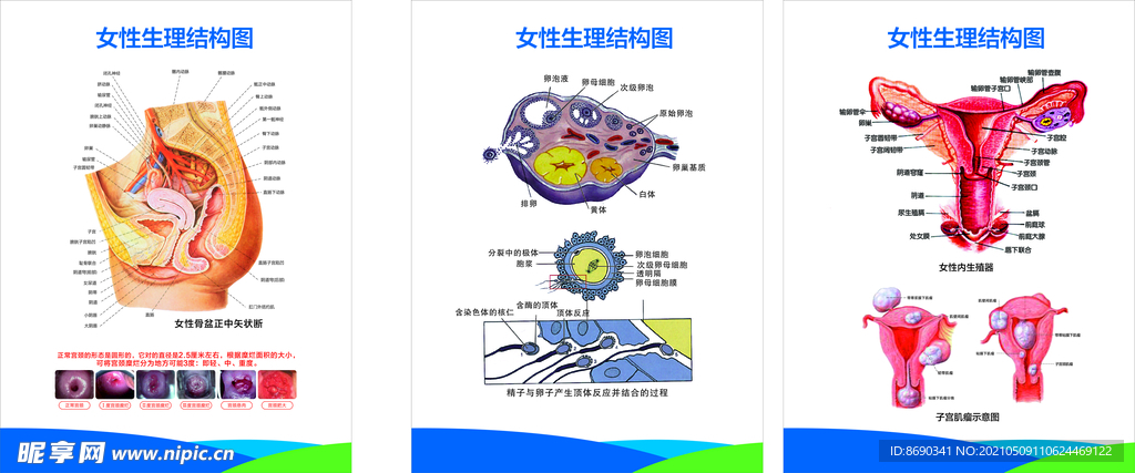 医院宣传