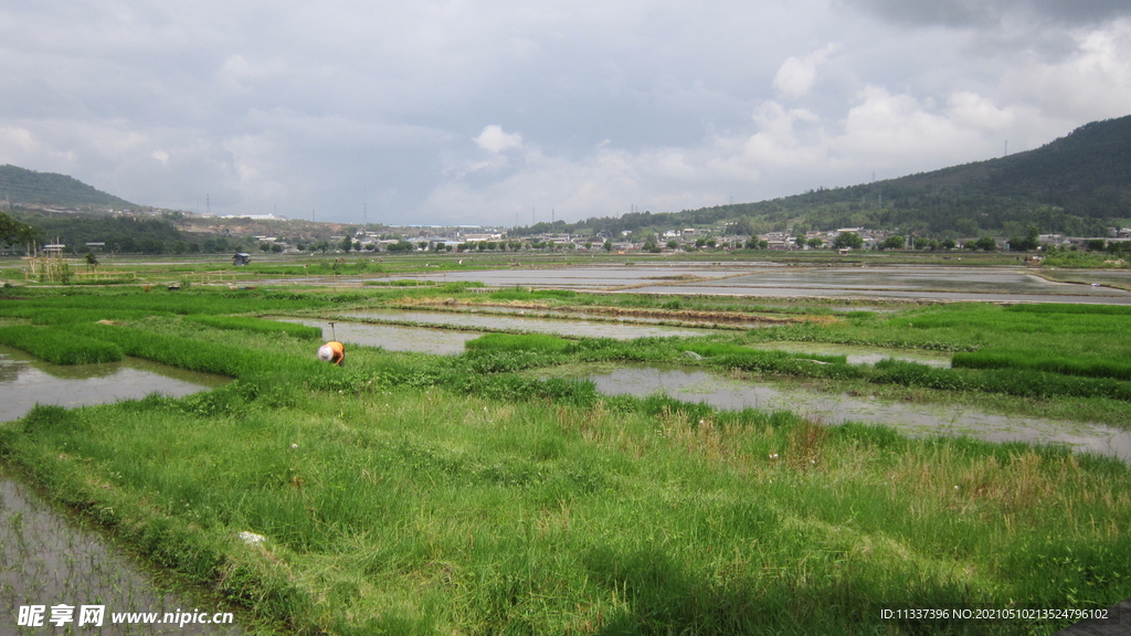 水草与沼泽