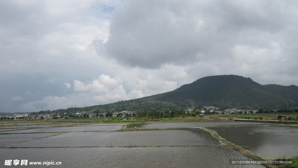 远山与水田