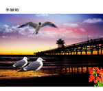 晚霞黄昏码头海鸥PSD源文件