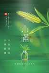 小满