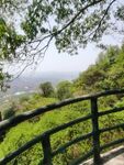 霍山森林公园自然景观