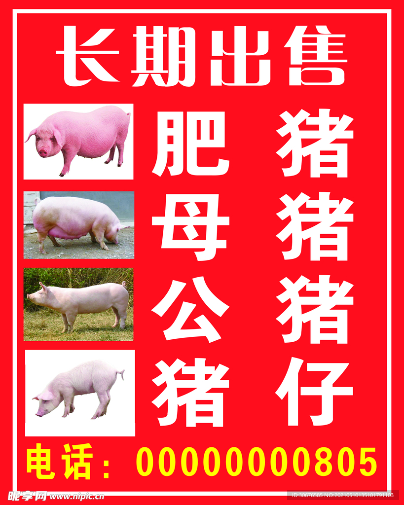 出售猪仔