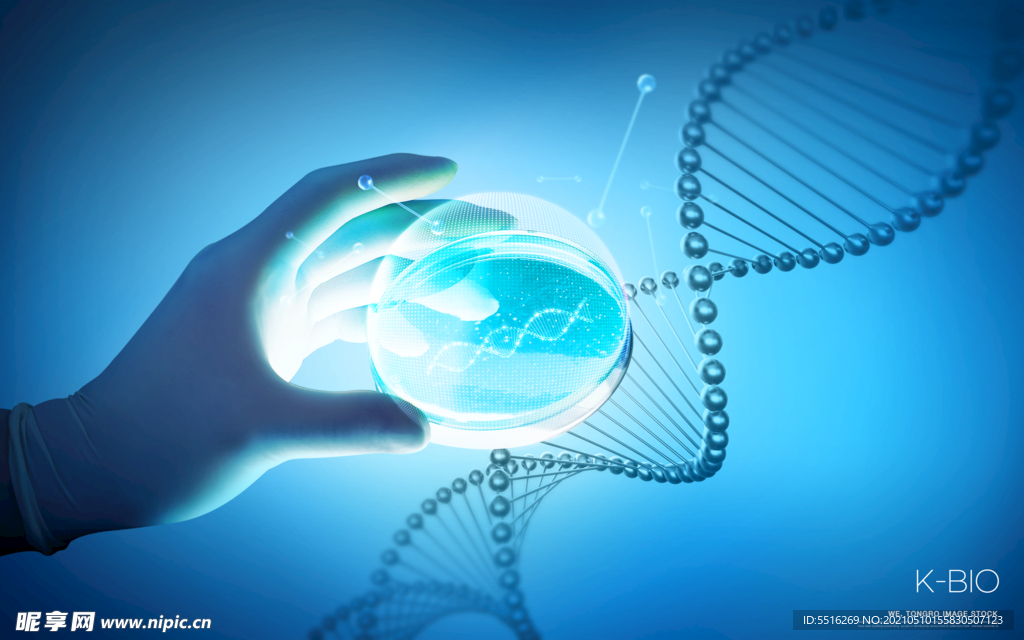 医疗生物 基因 基本元素 科技