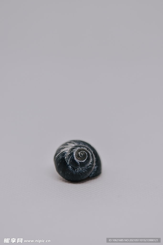 蜗牛             