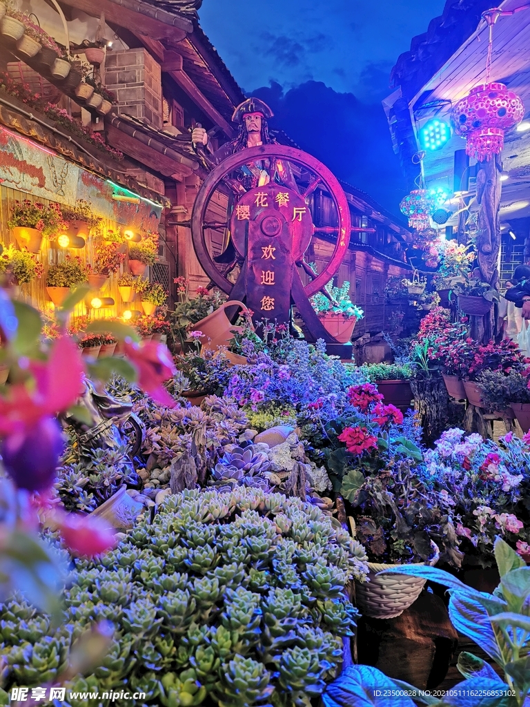 多肉花船夜景