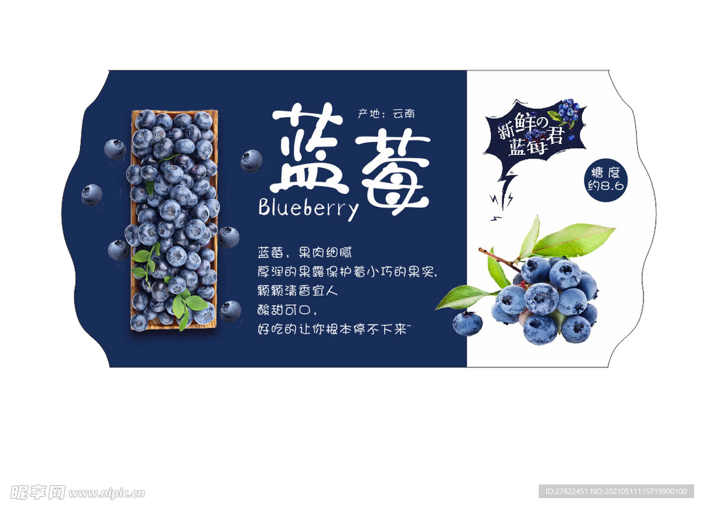 蓝莓水果吊牌
