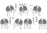 狗