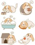 狗