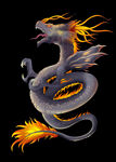 龙              
