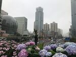 上海徐汇商圈