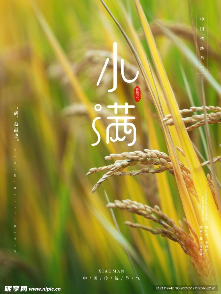 小满简约海报