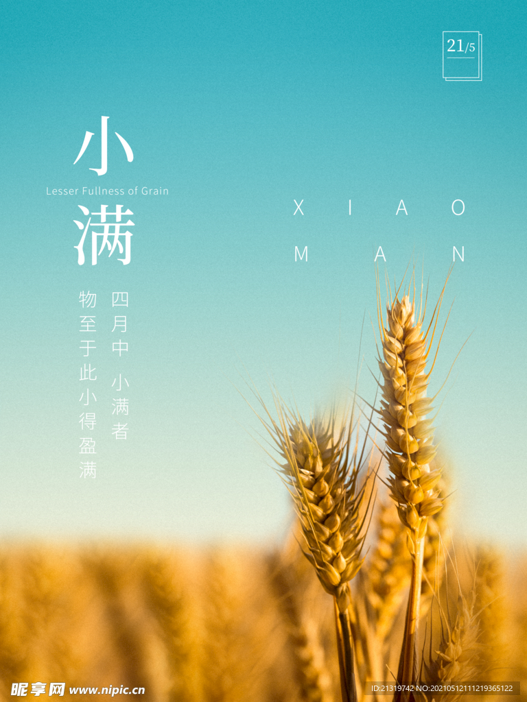 简约小满节气海报