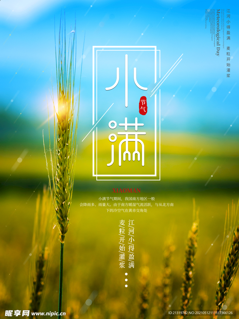 清新二十四节气小满节日海报图片
