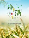 小满麦子海报