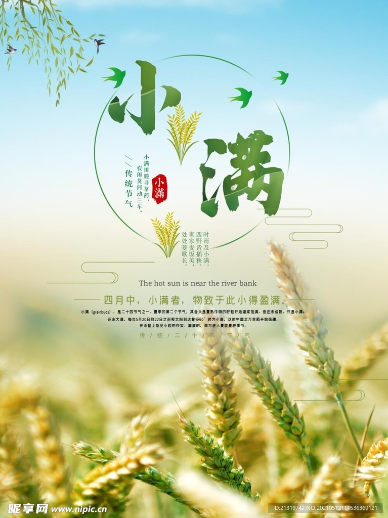 小满麦子海报