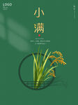 简洁风二十四节气小满海报 
