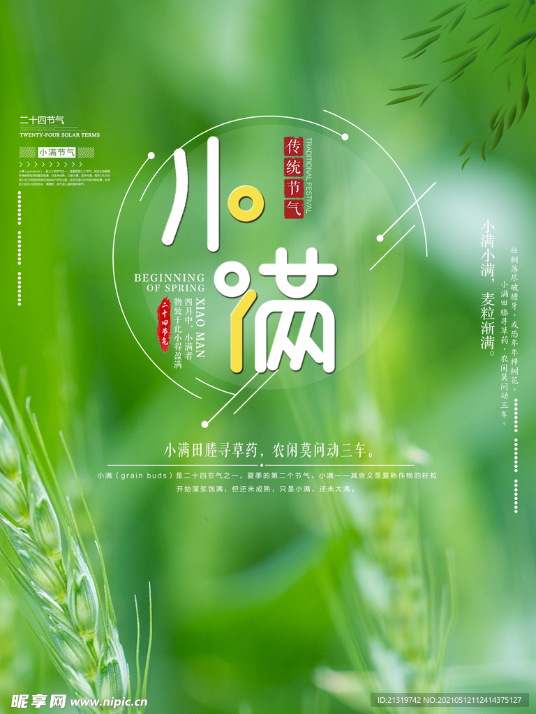 小满小麦海报