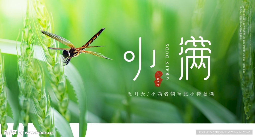 小满展板