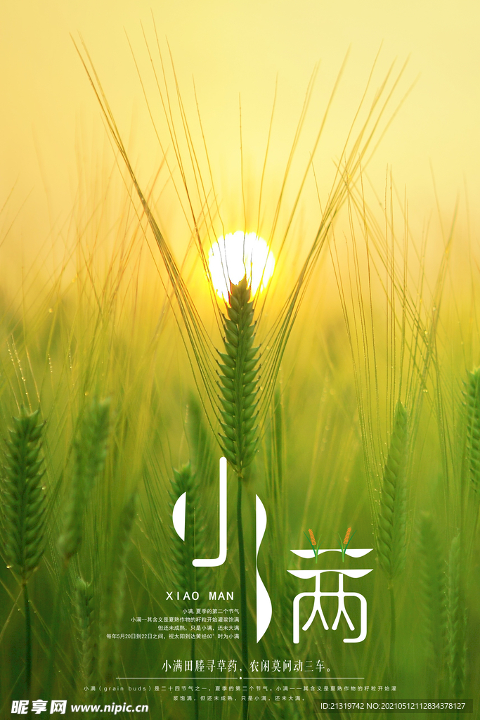 清新二十四节气小满节日海报图片