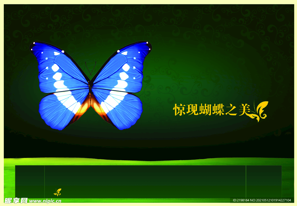 蝴蝶宣传页