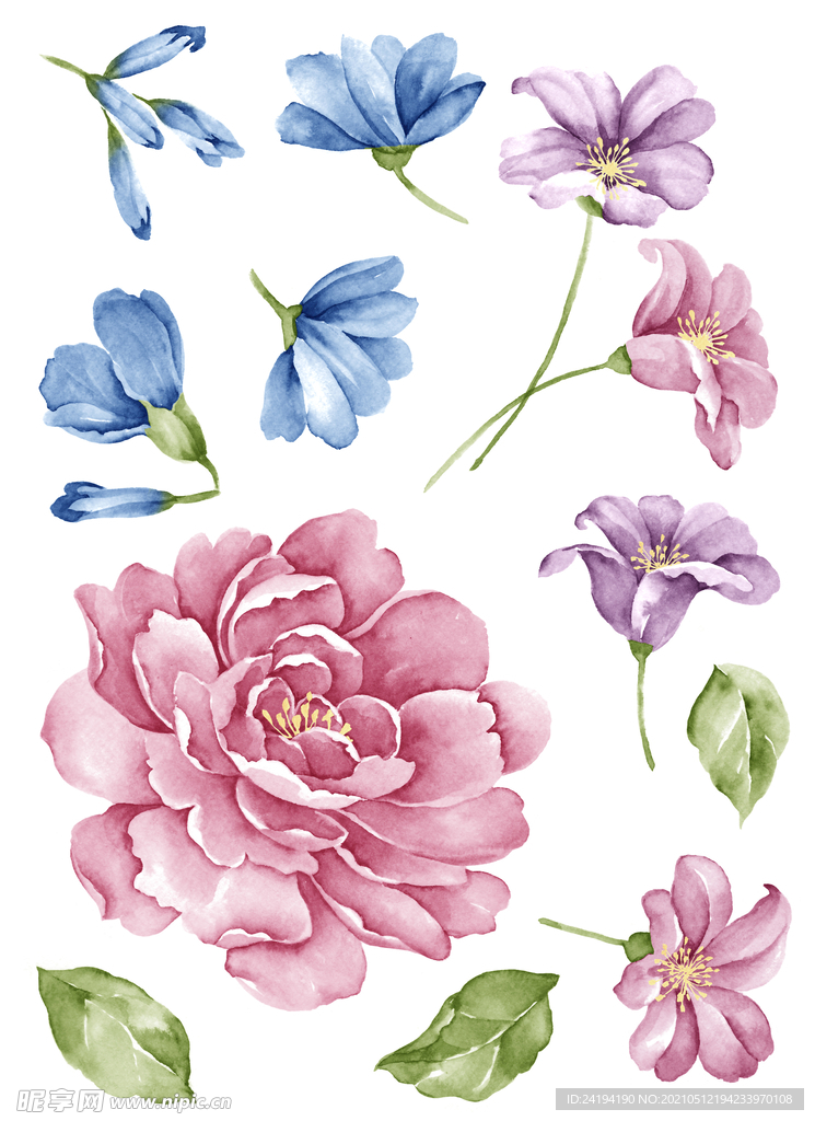 水彩 花  素材