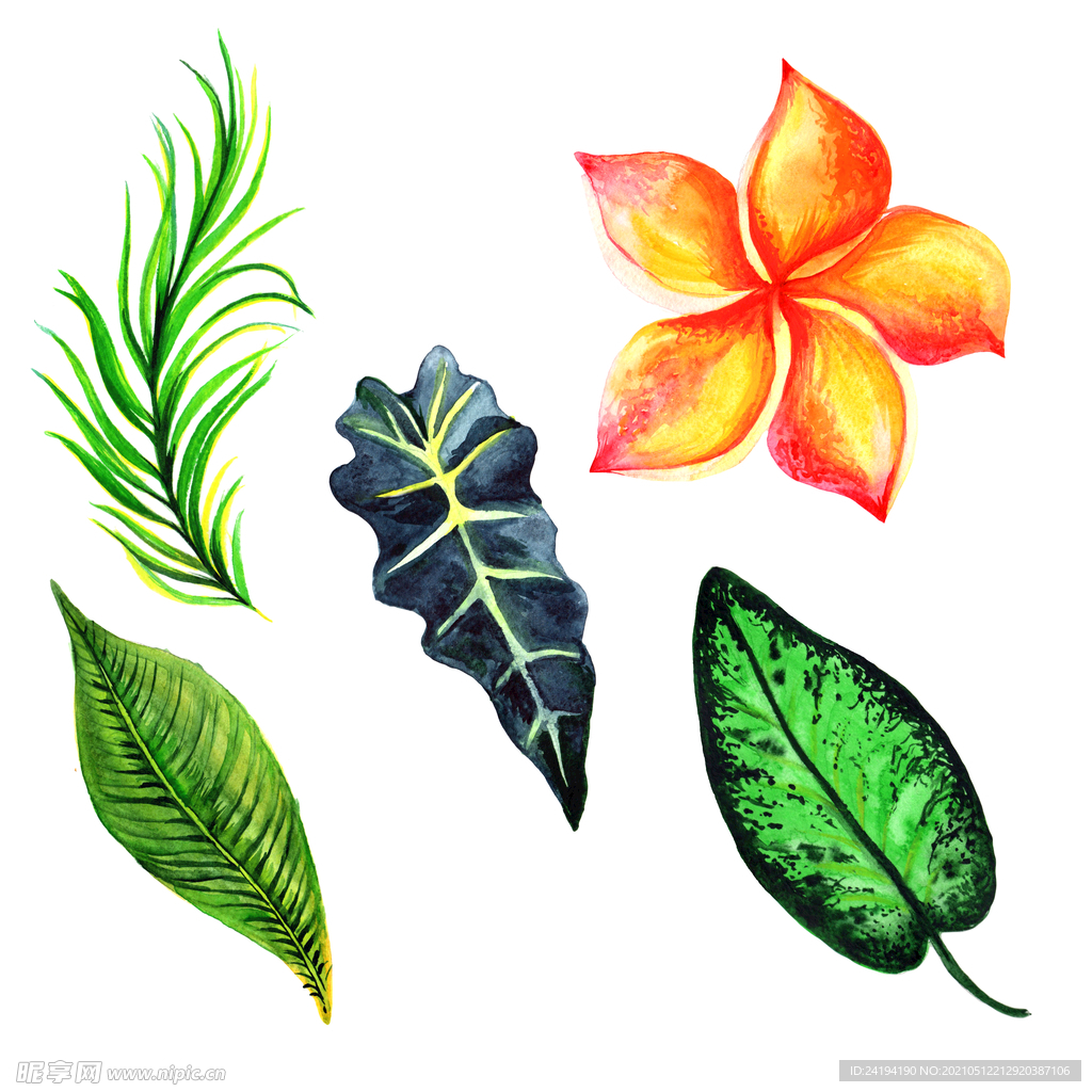 素材 花叶