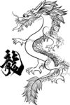 龙