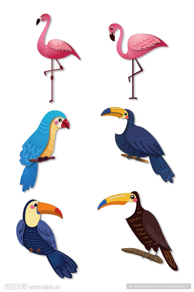 热带鸟类