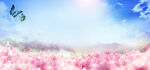 鲜花背景