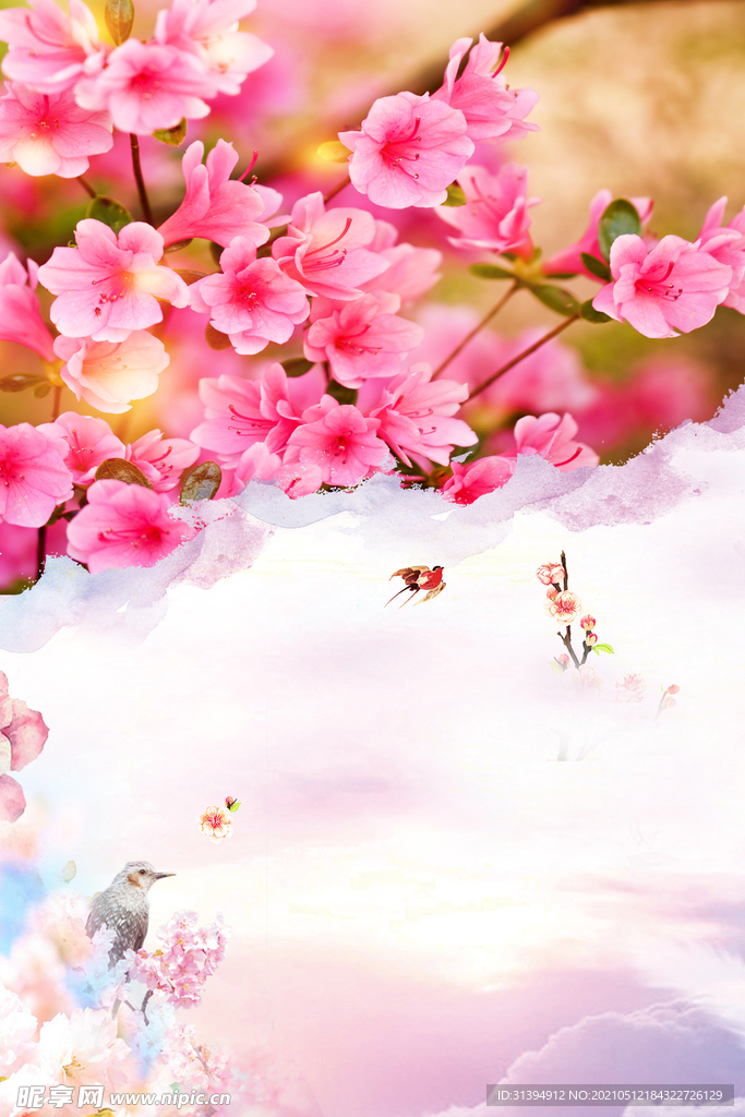 鲜花背景