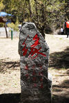 缘字