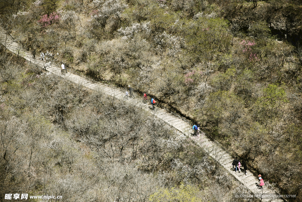 登山