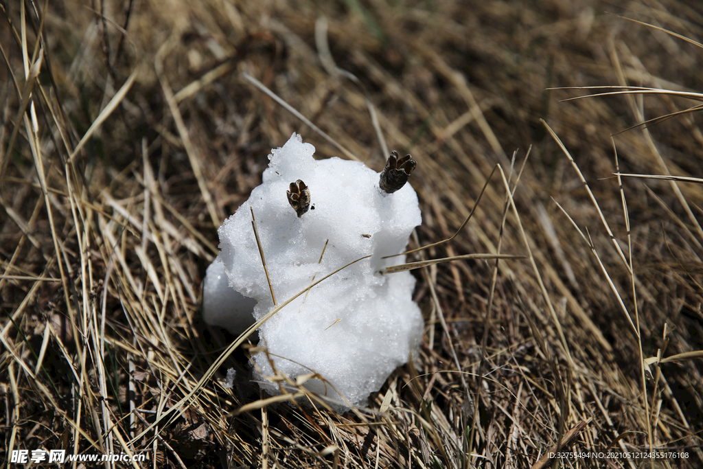 雪人